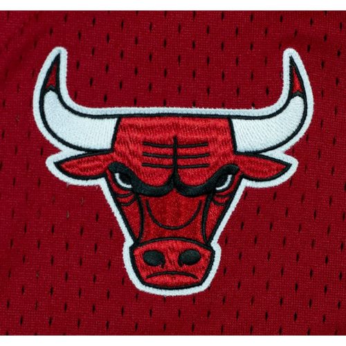 تاریخچه شیکاگو بولز