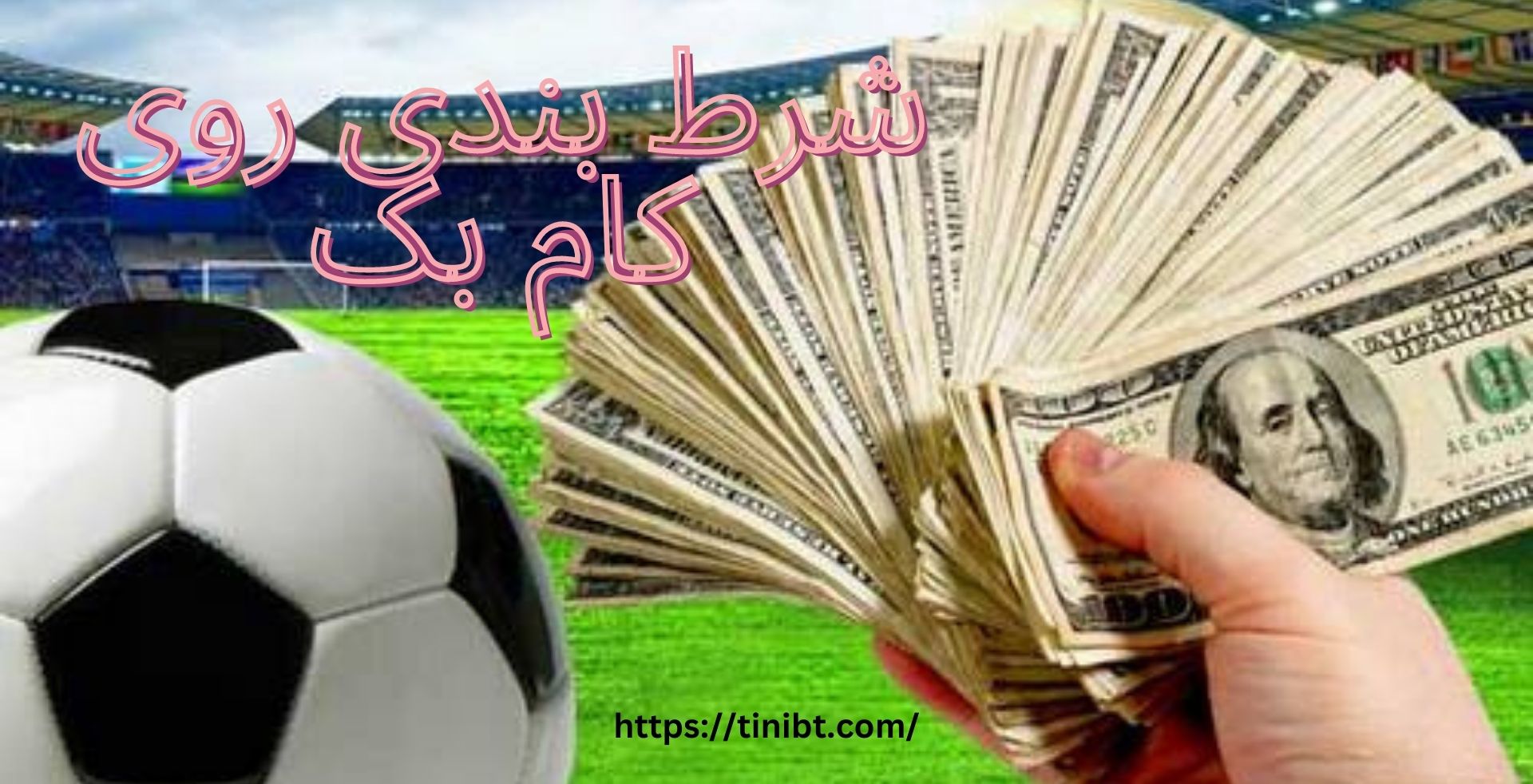 شرط بندی روی کام بک