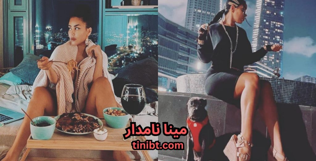 مینا نامدار