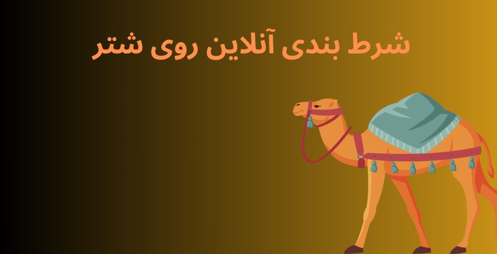 شرط بندی آنلاین روی شتر