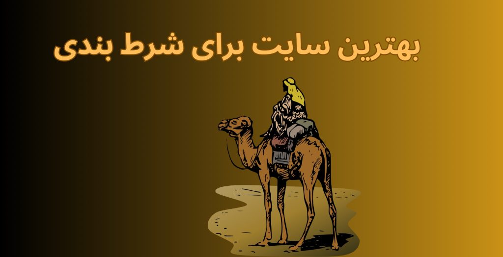 بهترین سایت برای شرط بندی روی شتر