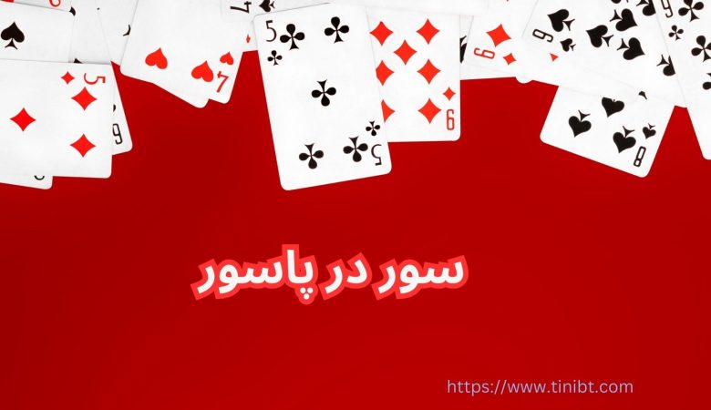 سور در پاسور