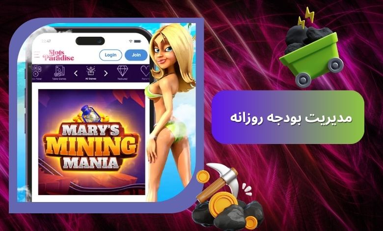 اهمیت مدیریت بودجه روزانه
